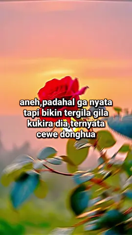 kukira dia,ternyata cewe donghua🤭 . . #vann60fps #donghuaedit #fypシ゚ #marga_gods숬 