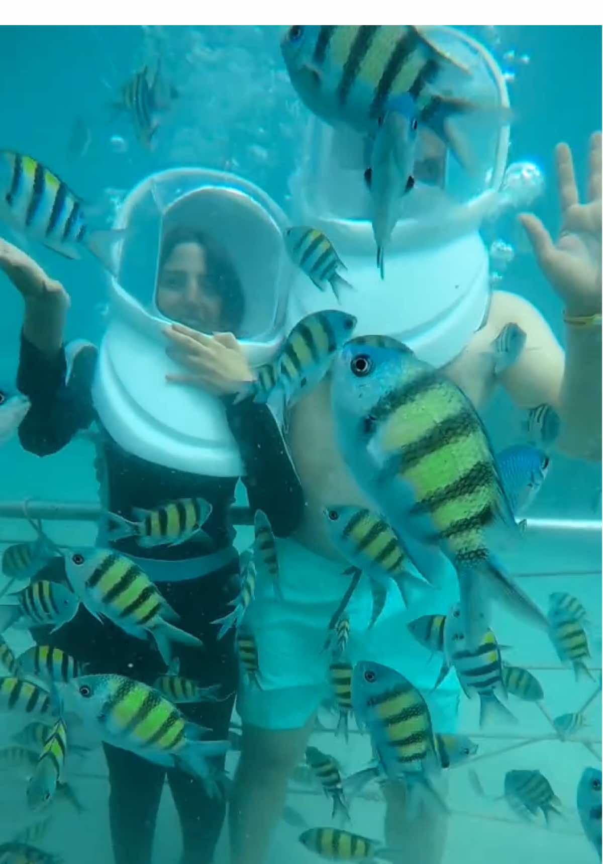สัมผัสประสบการณ์ใหม่สุดปังกับ Sea Walker 🪸🐠 พาเดินใต้ท้องทะเลลึกแบบไม่ต้องดำน้ำ ที่กาฮังบีช เกาะเฮ ใครว่ายน้ำไม่เป็นก็ไม่ต้องห่วง บอกเลยว่า... ชิลมากกกก  #SeaWalker #tiktoktravel #เพิ่มเพื่อน #ดันขึ้นฟีดที #phuket #vairal 