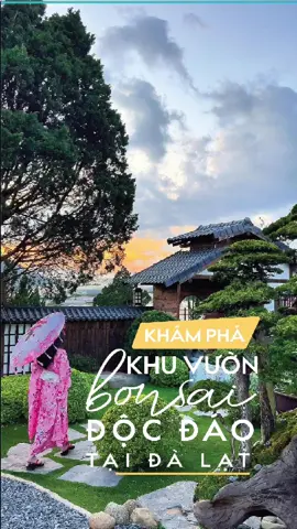 Khám phá khu vườn bonsai độc đáo giữa lòng Đà Lạt #quêgarden #dalat #review #diadiemanuong 
