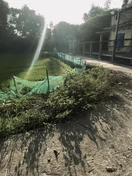 “别让他们看到你的痛， 让他们以为你根本不配疼。” 