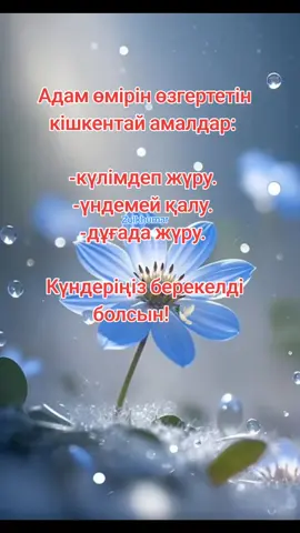 #рек #fyp #