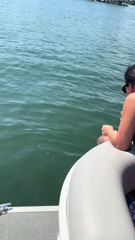 Can they catch brownies from the water?  Nope! 🤣