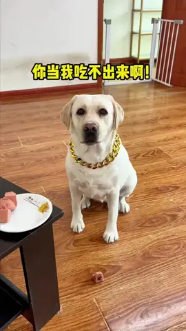 #🤣🤣🤣 