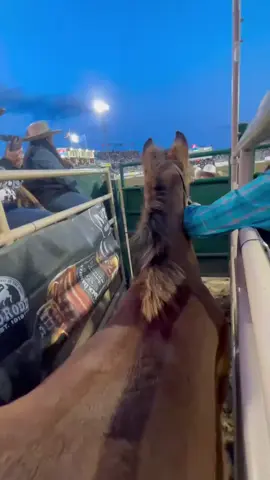 ##fyp #foryoupage #fypviral #trending #horse #drafthorses #Clydesdales #brokenspokeclydes #majestic #familybusiness #workhardplayhard #enjoytheride #liveyourbestlife #doingwhatilove #brokenspokeclydes #poweredbydolanram #winfieldks #circle5feeds #Reno #wildestrichestrodeointhewest 