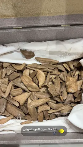 #الرياض_جده_مكه_الدمام_المدينه 