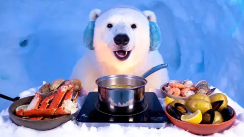 #ASMR #AI #fyp #iceasmr #ICE #Tatcha seafood boil for dinner, freshly caught and for dessert we have some cloud puffs 💙🐻‍❄️