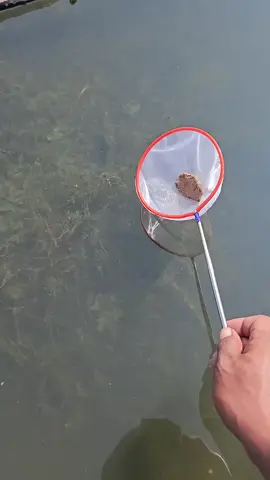 Fishing 🎣  #fyp #fishinglife #fishing #oceanlife #viral 