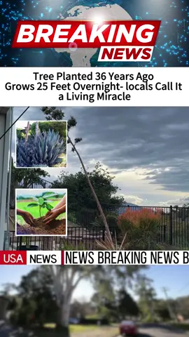 #usa🇺🇸 #news 