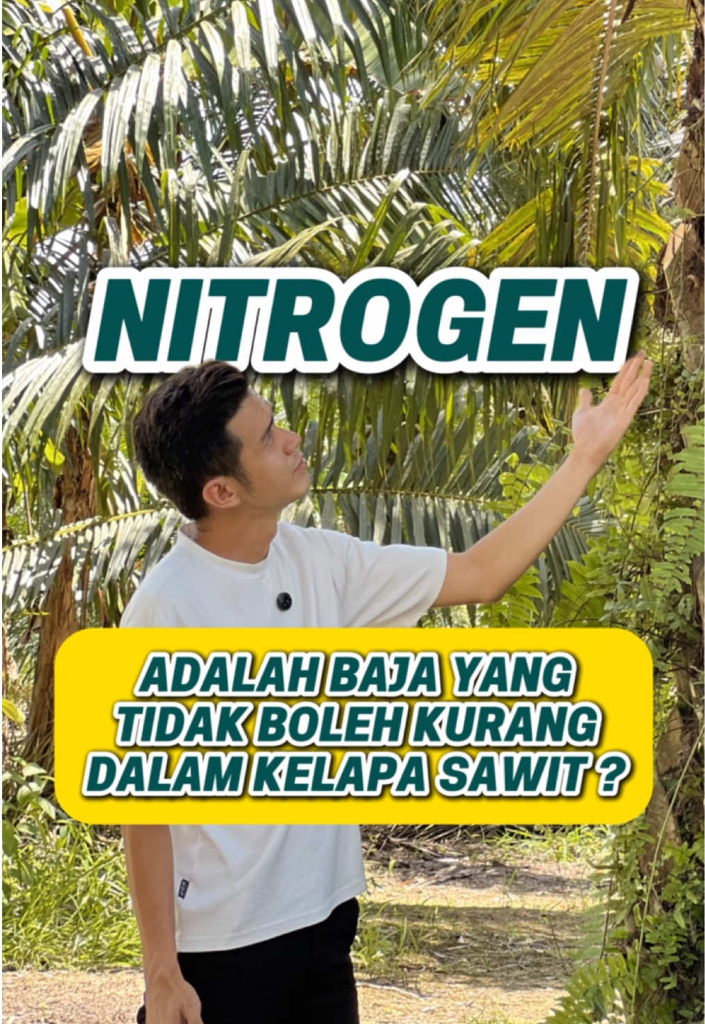 Kamu tahu tak membaja pun ada skill, tengok kamu tahu berapa banyak?🤔 #baja #buat #petani #sawit #sawitmalaysia #pertanian #kebun #kebunsawit #jualbuah #tjhsawit 