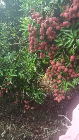 🥰🥰
