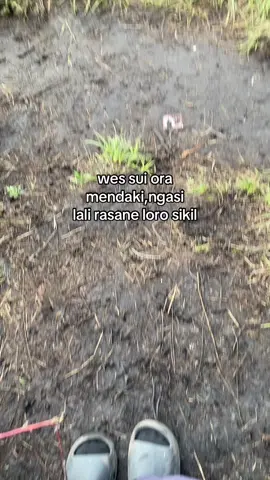 #fyp #pendakigunung 