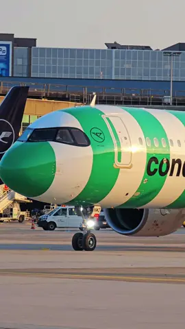 #avgeek #plane #airbus #condor #FRA #frankfurt #airport #germany🇩🇪 #morning #hobby #photography #photo #planespotting #passion #sky #flying #flypシ #trip #travel #aviation #aviationlovers 