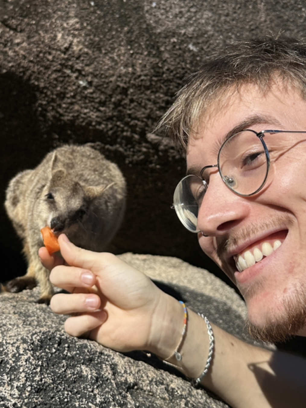 La Isla de Los Wallabys🦘🇦🇺#australia #espanolesenaustralia 