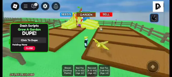 DUPING SCRIPT! #growagarden #dragonfly #fypシ #fyp #foryoupage #hacks #script 