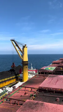 Loading🥵#fyp#pelautindonesia#bulkcarrier 