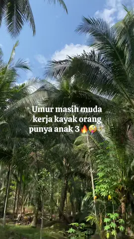 Info harga 4900#petani kelapa 🌴 #petani muda#petaniindonesia🇮🇩🇮🇩🇮🇩🌿🌿 #pekerjakeras #pekerjakerasindonesia🇮🇩 #pejuangrupiah #kuli kelapa #impian kita bos muda#kapal jambul #km cv berkat mandiri 77#perintisbukanpewaris #menyaalaahhabangkuuu🔥🔥 #fypp 