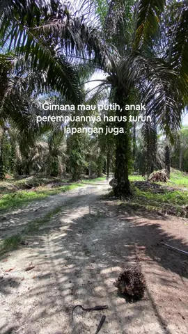Ib mbak-mbak di fyp😋😋 #trend #sawitriau #petanisawit 