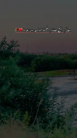 #عتابة #تصويري_احترافي_الاجواء👌🏻🕊😴 #تصويري📸اكسبلوور♥️🙂📸اكسبلوور #القيارة #مشاهدات100k🔥 #محمود_العامري #لكاحي_يهل_رايح_لهلنا_سلامنا🎻🎶 