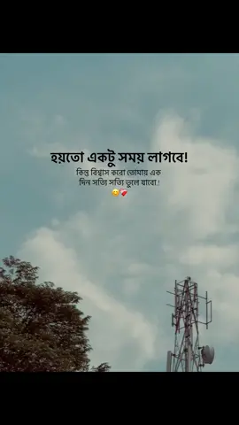 হয়তো একটু সময় লাগবে!কিন্তু বিশ্বাস করো তোমায় একদিন সত্যি সত্যি ভুলে যাবো.!❤️‍🩹#foryou #foryoupage #bdtiktokofficial🇧🇩 #fyp @TikTok @tiktok creators @TikTok Bangladesh 