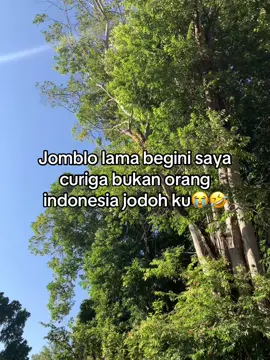 Curiga memang sya😆 #katakatakece #trendingtiktok #storywhatsapp #storykata #story #masukberandafyp #fyppppppppppppppppppppppp 