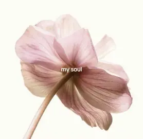 i love the colour pink so much #pink #mysoul #pinksoul #mycolour #mycolor #trend #trending #ribbonssong #aesthetic #viralvideo #foryou #fyp 