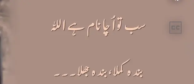 #foryoupagе #foryou #punjabipoetry #viral #sufi  