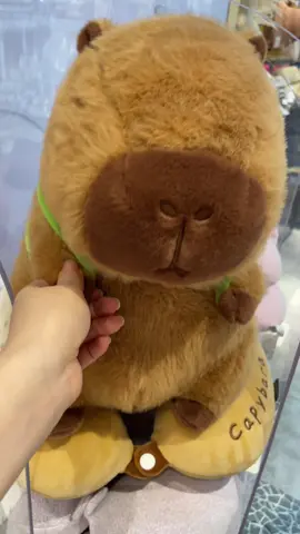 #capibara #capy #capybara #kawaii #plushies #fypシ゚ 