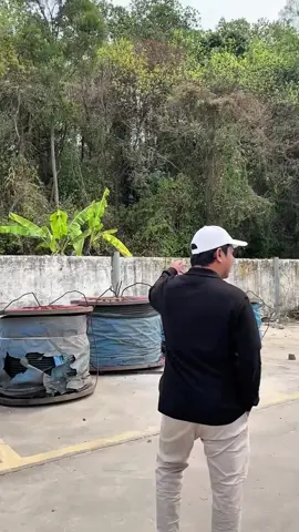Bang Haji Alfan monitoring pembuatan food tray di china  #china #manufacturing #foodtray #traveltiktok #visitchina #bismillah 