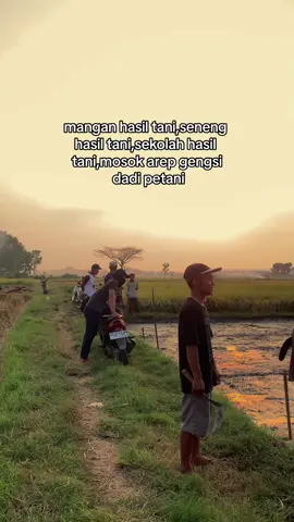 Wayae”, izin copas kata”nya ya kak🙏🏻🙏🏻 #fy #storytime #story #petanikonten #petaniindonesia🇮🇩🇮🇩🇮🇩🌿🌿 #petanimilenial #padi #buruhtani #combimegatro #storytime #petanimuda 