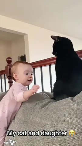 Cats and babies😽😘#cat #happy #babies 