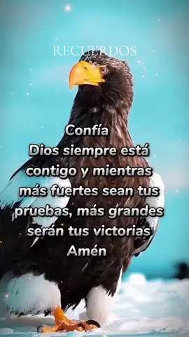 #Recuerdos