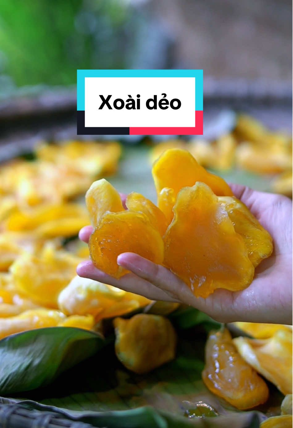 Cây xoài nhà Sò nay thu hoạch hơn 1 tạ, xoài này không biết giống gì lúc xanh thì chua không ăn được lúc chín thì thối nên tranh thủ lúc ương vàng Sò làm món xoài sấy dẻo để được lâu ăn dần có đường nên cũng đỡ chua hẳn. #mónngonmỗingày #xoài #xoaisaydeo #viral #fyp #nauancungtiktok 