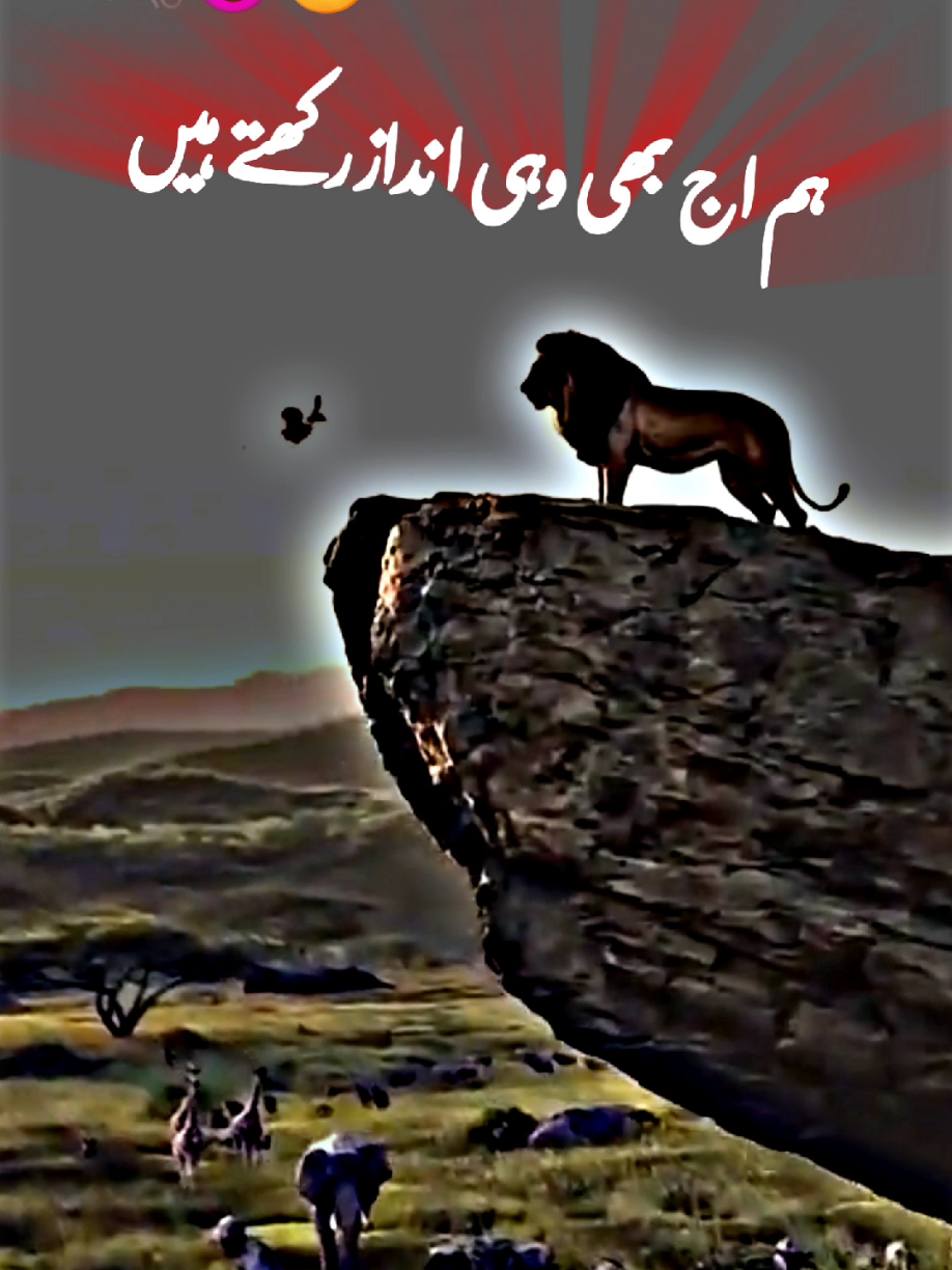 ہم اج بھی وہی انداز رکھتے ہیں😎😣😏#foryoupage #🖇️✨🥀💔 #standwithkashmir #fyp #a Urdu poetry #500k#poetrystatus #viralmyvideoplztiktok #whatsappstatus #goviral#NotYourAffan#500k 
