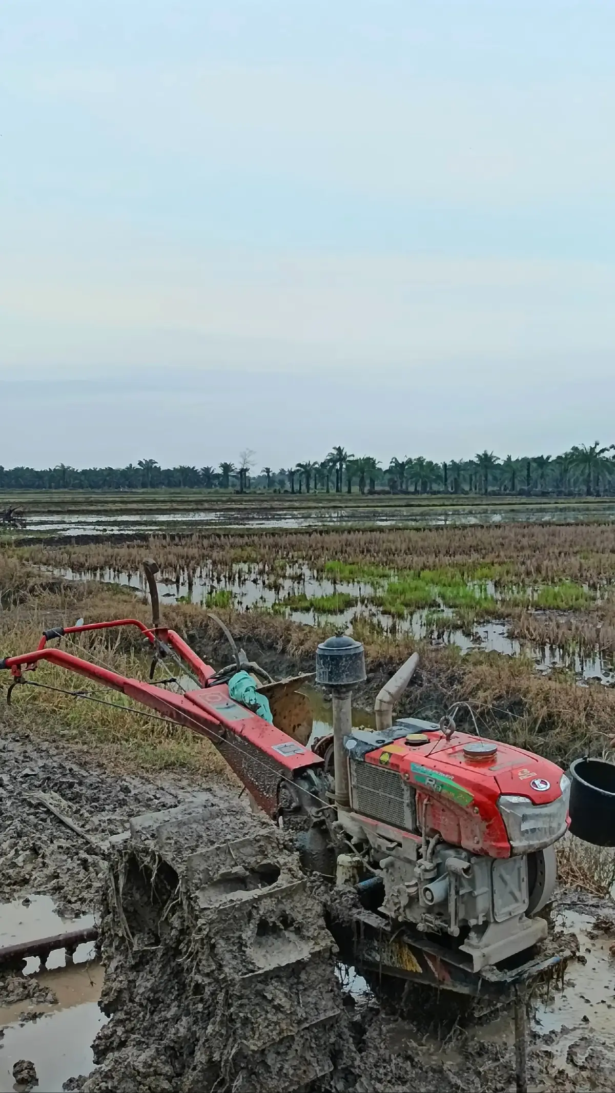 wayae mesin tempur leren😁#kubotard85s2#traktorsawah#kubota_tractor 