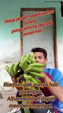 #petani #pisang 