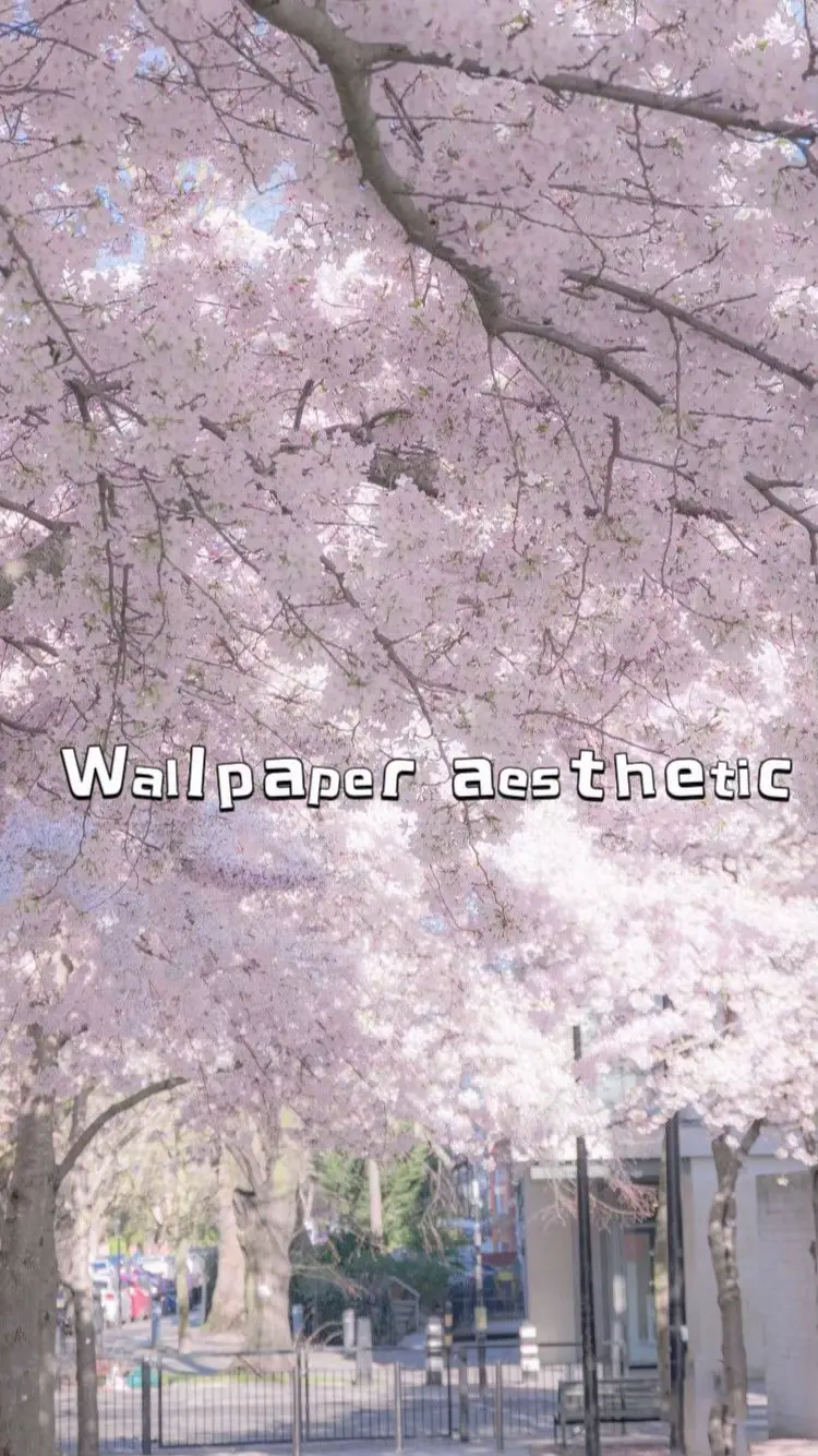 Wallpaper aesthetic 💗🩵🖤#outfit #Love #sawako #cute #happy #2025 #outfitideas #likeandfollow👍 