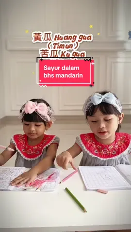 Part 20 || Sayur dalam bahasa mandarin #belajarmandarinpemula #kosakatamandarin 