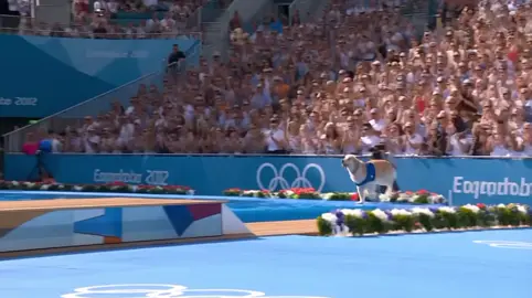 dog at Olympics 😁#diving #olympics #ai #viralvideo 