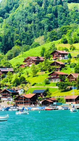 Switzerland 📍🇨🇭🍀🏡 🎥@akram_rasa  .. .. .. : : #switzerland #swissalps #swissmountains #explorswitzerland #amazingswitzerland  #switzerland_destinations #switzerland_vacations #switzerlandtrip #bern #berneroberland #explorepage #beautifuldestinations #beautifullswitzermountains #travel #photography #portrait #landscape #mobilephotography #old_city #new_year #happynewyear #loveyourself #winter #alps #sunset #night #sky #lakeview #bern 