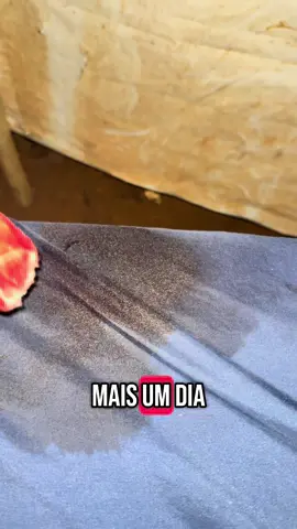 #MORCEGO #GARIMPO