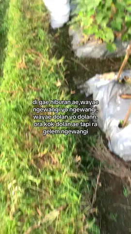 jare bapakk belajar soro ket cilikkk ben ra kaget sok tuek#fypage #masukberandafyp #petanimudaindonesia🇮🇩 #seksoromase 