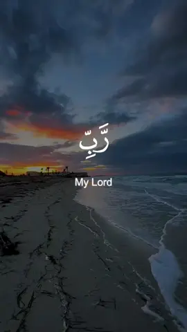 سورة نوح ٢٨ | تلاوة محمد البراك ﴿رَبِّ ٱغْفِرْ لِى وَلِوَٰلِدَىَّ وَلِمَن دَخَلَ بَيْتِىَ مُؤْمِنًۭا وَلِلْمُؤْمِنِينَ وَٱلْمُؤْمِنَـٰتِ﴾ يا ربّ، اجعل هذا الدعاء نورًا لنا ولأهلنا ولجميع المؤمنين والمؤمنات 🤍 دعاء شامل وعميق، بصوتٍ يلامس القلب 🌿 Surah Nuh – Verse 28 | Recitation by Mohammed Al-Barrak “My Lord, forgive me, my parents, whoever enters my house as a believer, and all the believing men and believing women…” A heartfelt du‘a for yourself, your family, and the entire ummah 🤲 #القرآن_الكريم #سورة_نوح #تلاوة #خاشعة #صوت_جميل #روحانيات #تذكير_إسلامي #يكسبلور  #Quran #SurahNuh #Verse28 #Mohammed_AlBarrak #QuranRecitation #Islam #BeautifulVoice #muslim  #IslamicReminder #Spirituality #Sara_QuranVerses #explore #islamic_video #fyp #foryou #foryoupage #viral #CapCut 