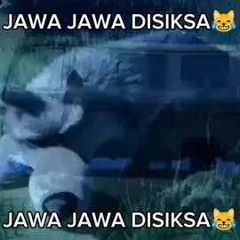 tag jawa kalian guys 😹😹 #summersongs #lewatberandafyp #masukberanda #fyp #4u #meme #jawa #semogafyp 