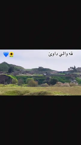 #capcut #trend #caa #capcutvelocity  💙🌻