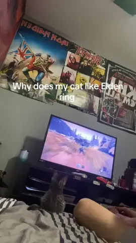 #eldenring 