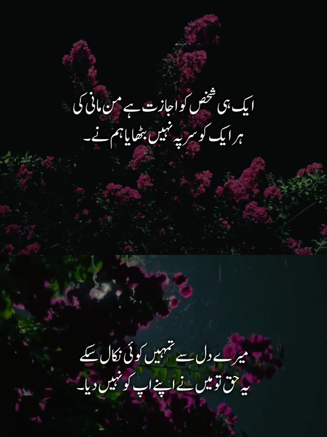 اس طرح کی ویڈیو ایڈیٹنگ سیکھنے کے لیے ابھی میسج کریں بالکل فری💯✅#fyp #foryou #poetry #tiktok #viral #trending #foryoupage #foryoupageofficiall #ali_writes221 #unfreezemyacount @TikTok 
