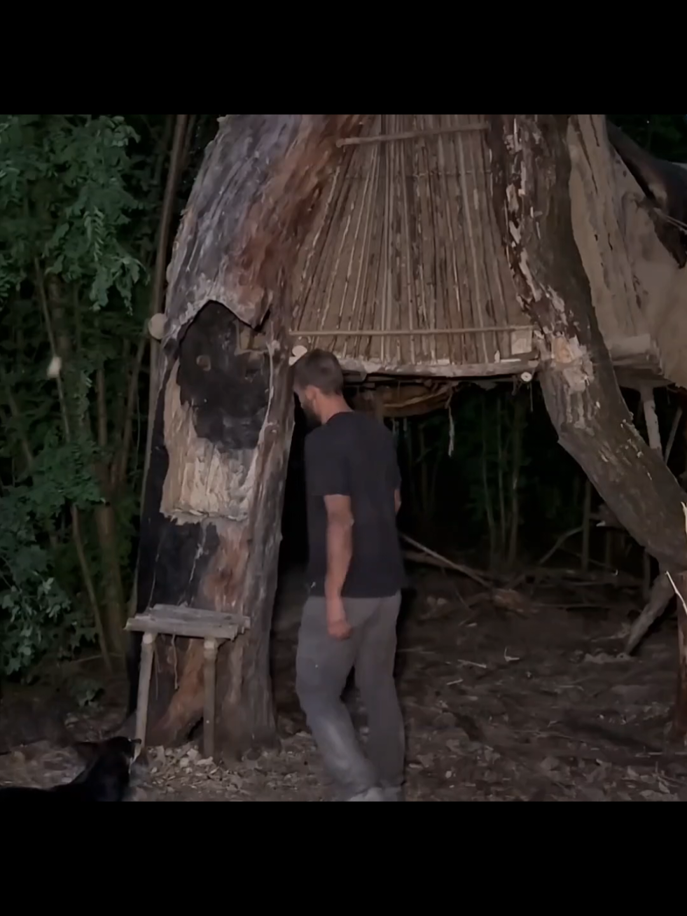 #survival #Outdoors #camping #bushcraft #shelter 