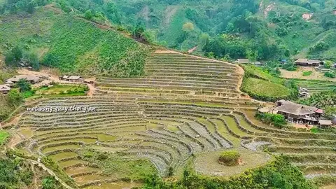 vẻ đẹp của gia đình haha 🌱 năng lượng chữa lành thật sự ạ 🥺💚 #giadinhhaha #foryou #xhtiktok #gdhh #beauty #nature #vietnam 