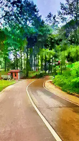 kapan kalian terakhir kesini puncak 2 sukamakmur  #tempatwisata #wisataalam #puncak2 #sukamakmur #pesonaalam #bogor #jawabarat 