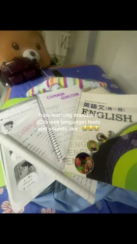7 lexical tones 😭😭😭😭😭 #taiwanstudent🇹🇼 #internationalstudent🇵🇭🇹🇼 #chineselanguage #mandarin #relatable #xybzca #fyp 